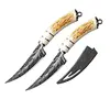 Sharp curved blade, sharp satin finish fruit knife, portable plastic handle boning knife