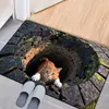 3D Optical Illusion Cat Round Hole Door Mat Daily Home Absorbent Anti-slip Carpet Living Room Bedroom Bathroom Doorway Decor Rug