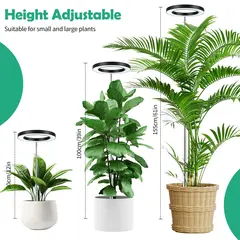Plant Grow Light, Height Adjustable with Auto On/Off Timer 3H/9H/12H, 10 Dimmable Brightness, Ideal for Home Desk Plant Lighting