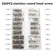 500pcs Mini Screw Nuts Micro Laptop Computer Assemble Repair Screws Fastener Set For Repairing Sunglasses Phone