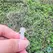 50Pcs Cute Mini Plastic Transparent Blank Fan Child Kids DIY Fan Wedding Birthday Party Favors Girlfriend Boyfriend Ideas Gift