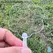 50Pcs Cute Mini Plastic Transparent Blank Fan Child Kids DIY Fan Wedding Birthday Party Favors Girlfriend Boyfriend Ideas Gift