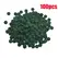 100pcs High Purity Spirulina Tablets Spiral Seaweed Enrichment Favorite Pets Food Fish Crystal Red Shrimp Fish Food Aquarium
