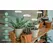 Plant Grow Light,LED Growing Light Full Spectrum for Indoor Plants,Height Adjustable, Automatic Timer,Idea for Small Plant Light