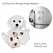 Transparent Dog Hair Storage Container Adorable Pet Keepsake Capsule Pendant With Key Ring for Pet Lovers DIY Memorial Keychain