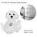 Transparent Dog Hair Storage Container Adorable Pet Keepsake Capsule Pendant With Key Ring for Pet Lovers DIY Memorial Keychain