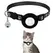 Cat Collar Compatible with Apple Airtag with Bell Adjustable Safety Buckle Reflective GPS Collar for Kittens Puppies 7-12In