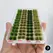 4colors/104tufts Model Grass Tufts for Miniature Scenery,Model Grass Tufts for Patios Static Grass Tufts Grass
