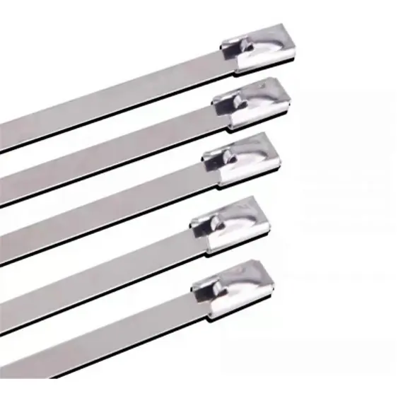 10/20pcs Stainless Steel Metal Cable Ties Tie Zip Wrap Exhaust Heat Straps Induction Pipe 4.6mm Width 100-700mm 304 Material