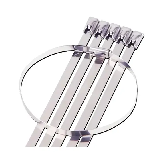 10/20pcs Stainless Steel Metal Cable Ties Tie Zip Wrap Exhaust Heat Straps Induction Pipe 4.6mm Width 100-700mm 304 Material