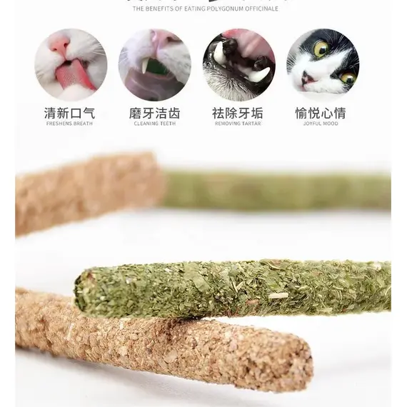6pcs Natural Matatabi Cat Stick Mint Caught Bite Excited Rods Silvervine For Cat Teeth Cleaning Treating Pet Supply Cat Toys
