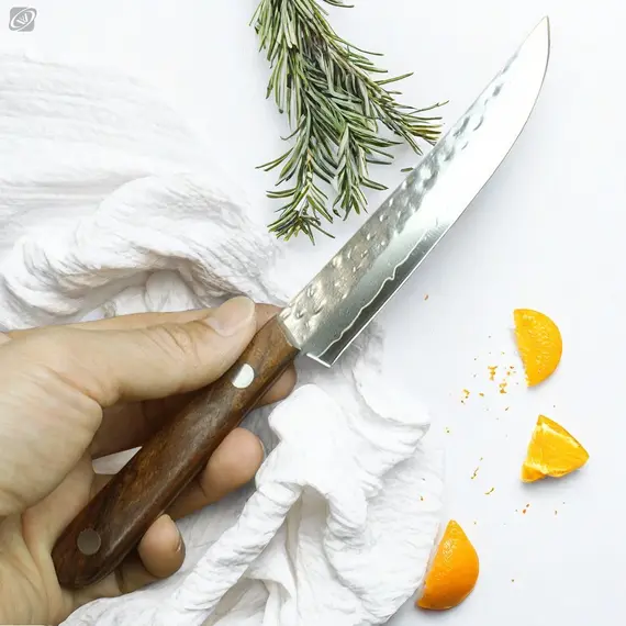 67-ply Forged Damascus Steel Fruit Knife Blade Sharp Peeling Boning Knife Smooth Solid Wood Handhandle Kitchen Accessories Knife