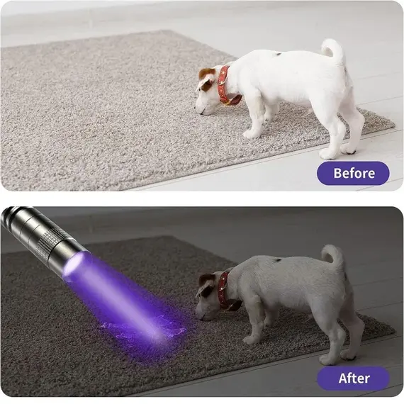 UV Flashlight 395nm Ultraviolet Torch With Pen Clip Portable AAA Batteries Used Violet Light Pet Urine Scorpion Detector UV Lamp