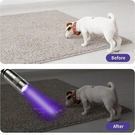 395nm UV Flashlight Ultraviolet Torch With Pen Clip Portable Violet Light Pet Urine Scorpion Detector UV Lamp Use AAA Batteries