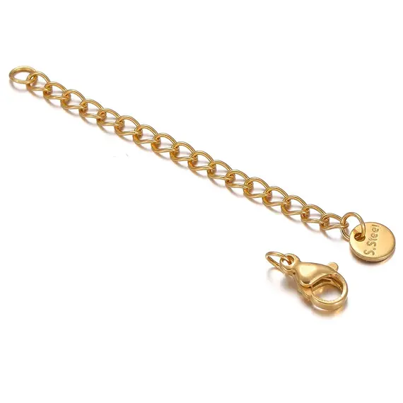 10pcs Stainless Steel Lobster Clasps 5cm Extension Extended Tail Chains for DIY Jewelry Making Bracelet Necklaces Connectors