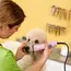7FC Detachable Pet Dog Clipper Blade Set Compatible With For Most Andis, Oster A5 , Wahl KMClippers，Ceramic &Carbon Steel Blade