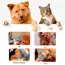 3F 4F 5F 7F 9# 10# 30# 40# 50# Professional Pet Dog Clipper Blade Fit Most Andis,Oster A5,wahl KM Clippers animals Clippers