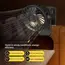 Mini Portable Clip On Fan USB Desk Fan 3 Leaf Speeds Quiet Wind 720° Rotate Personal Electric Fan Standing Fans for Room Home