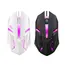 E-Sports USB Wired Mouse Colorful LED Gaming Mouse 5000 DPI Wired Mice Optical Wired Gamer Mouse For Desktop Laptop PC Computer
