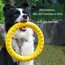EVA Durable Dog Toys 4 Pack  Flying Disc + Ball + Tug Rope for Puppy&Adult Dogs  Chew-Proof Teeth Cleaning Set（2024 Best Seller）