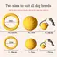 EVA Durable Dog Toys 4 Pack  Flying Disc + Ball + Tug Rope for Puppy&Adult Dogs  Chew-Proof Teeth Cleaning Set（2024 Best Seller）