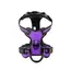 Adjustable Nylon Dog Harness Vest Reflective Soft Breathable No Pull Dog Harness Pet Harness Leash For Small Medium Large Dogs