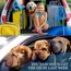 Pet Dog Cat Car Seat Dog Car Seat Belt Safety Protector Travel Pets Accessories Dog Leash Collar Breakaway Solid Car Harness