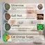 4 in 1 Rotating Catnip Silver Vine Ball Teeth Cleaning Acne Prevention Digestive Health Wall Stick on Toy Edible Safe Material