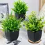1pc Artificial Green Plants, Home Greening, Outdoor Gardens, Office Decoration, Birthday, Wedding and Party Scene Decorations
