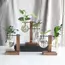 Creative Glass Desktop Planter Bulb Vase Wooden Stand Hydroponic Plant Container Home Tabletop Decor Vases
