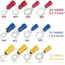 100PCS Ring Crimp Terminal M4/M5/M6/M8 Round Plugs Pre-insulated Ferrules Lugs For Splice Electricals Cable Wire End Connectors