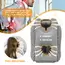 1pc Inflatable Travel Pillow, Airplane Pillow With Patented Valve Design, Travel Accessories With Neck And Head Support, Travel