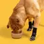 4Pcs/set Anti Slip Dog Socks with Straps Traction Control for Indoor on Hardwood Floor Wear Pet Paw Protector for Small Dogs Pet