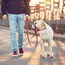 2026 New Nylon Portable Dog Muzzle Rope, Dog Cage Head Anti-Bite Pet Large Dog Mask, Pet Factory Wholesale