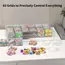 Bead Organizer Box,61pcs Bead Organizer Box Set, Clear Large Capacity Small Bead Organizers and Storage Plastic Cases with Label