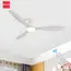 IRALAN Ceiling Fan With Light 6-speed choice Reversible DC motor 3CCT with remote control Whisper Easy Install black/White/Wood