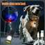 Multifunctional Mini Flashlight Keychain USB Rechargeable COB Work Light Keyring for Camping Walking Pocket Lamp