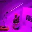 AITHEA Portable Full Spectrum Led Grow Light Phytolamp Red & Blue USB Indoor Greenhouse Plants Vegetable Hydroponic Bar Light