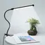 LED Clip Type Desk Lamp, Student Dormitory, Bedroom, Desktop, Bedside Reading Lamp, Eye Protection Small Desk Lamp, Black