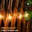Vintage G40 Led String Light Replacement Bulb 1W Plastic Shatterproof Globe Mini Ball Lamp E12 Base 2200K PET Edison Light Bulbs