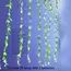 2 M 20 Light Always on Battery Box Willow Curtain Lamp Decorative Light String Imitation Leaf Wrought Iron Basket Copper Wire