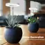 Plant Grow Light,LED Growing Light Full Spectrum for Indoor Plants,Height Adjustable, Automatic Timer,Idea for Small Plant Light