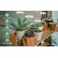 Plant Grow Light,LED Growing Light Full Spectrum for Indoor Plants,Height Adjustable, Automatic Timer,Idea for Small Plant Light