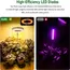 Plant Grow Light,LED Growing Light Full Spectrum for Indoor Plants,Height Adjustable, Automatic Timer,Idea for Small Plant Light