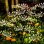 1pc Solar Firework Lights Warm White with 60LEDs for Outdoor Garden Decoration, 2 Modes,Christmas Decoration