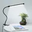 LED Clip Type Desk Lamp, Student Dormitory, Bedroom, Desktop, Bedside Reading Lamp, Eye Protection Small Desk Lamp, Black