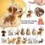 Transparent Dog Hair Storage Container Adorable Pet Keepsake Capsule Pendant With Key Ring for Pet Lovers DIY Memorial Keychain
