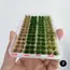 4colors/104tufts Model Grass Tufts for Miniature Scenery,Model Grass Tufts for Patios Static Grass Tufts Grass