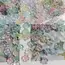 32Pcs， Clover, Transparent, Flowers, Flat, Jewelry Accessories, DIY, Pendant, Jewelry Making Supplies