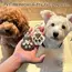 Dog Hair Collector Keychain Leather Pet Memorial Keepsake for Dogs and Cats, Fur Storage Pendant Charm Gift Keychain